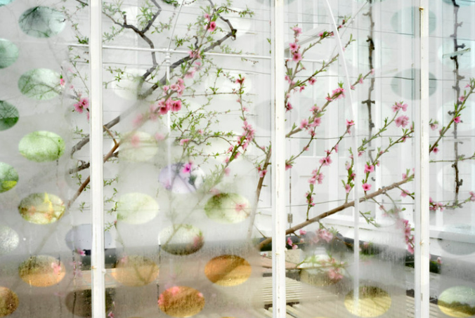 'Surface Touch 3' by Helen Sear