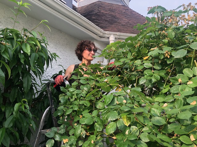 Katie hard at work in her garden.