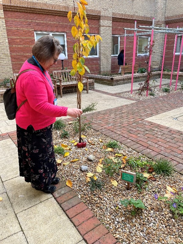 staff memorial garden at Worthing