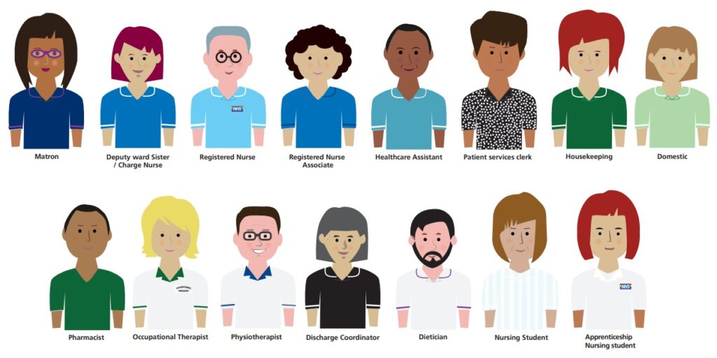 Chichester Suite team