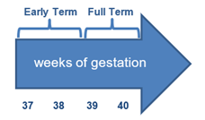 Weeks of gestation