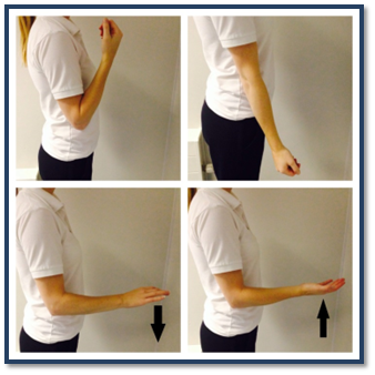 Image showing elbow bend and straighten exercise