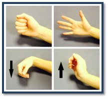 Image showing finger and wrist bending and straightening exercises