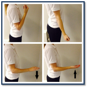 Image showing elbow bend to straighten exercise