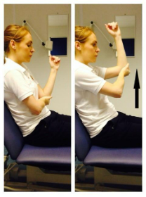 Supported arm elevation