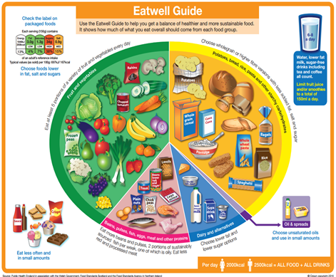 Illustration of the 'Eat well plate'