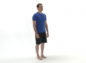 Image showing heel raises exercises