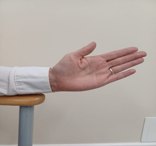 Wrist handshake, Make a handshake movement up. Hold the position. Make a handshake movement down. Hold the position.