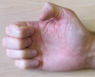 finger bends, Keeping your knuckles straight, bend the first two joints of your fingers down as shown