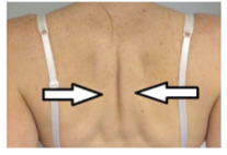 shoulders back and gently squeeze your shoulder blades together.