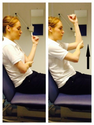 Supported arm raising
