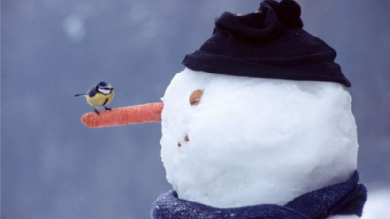 Snowman