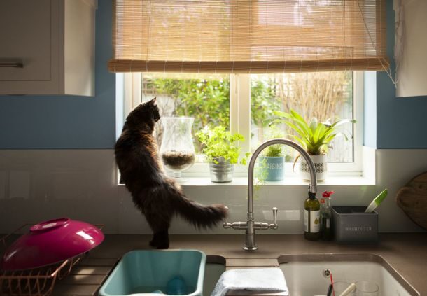 Celine Marchbank - Hove 1