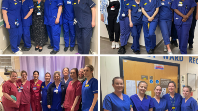 Image of UHSussex midwifery teams
