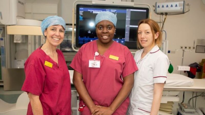 staff at UHSussex