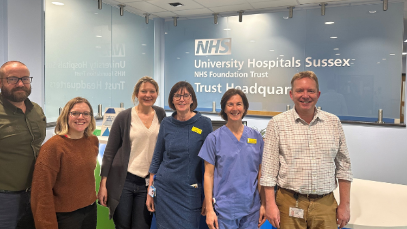 Palliative care team